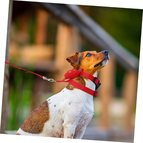 UPKOCH 4PCS PET LEASH مجموعة الكلاب سلسلة CAT تسخير الأرنب المقود الصغير تسخير تسخير قابلة للتعديل مقاومة للارتداء للداخلية في الهواء الطلق في الهواء الطلق in Kuwait