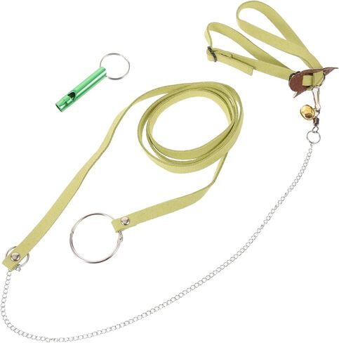 Toyvian Tortoise Outdoor Walking Leash Harness Wear Resistant Traction Rope for Pet Turtles Flexible Design for Safe for Tortoises in Saudi Arabia