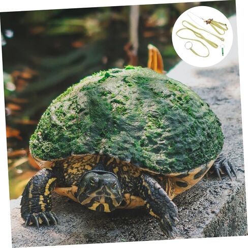 Toyvian Tortoise Outdoor Walking Leash Harness Wear Resistant Traction Rope for Pet Turtles Flexible Design for Safe for Tortoises in Saudi Arabia