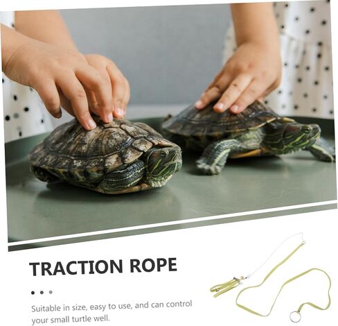 Toyvian Tortoise Outdoor Walking Leash Harness Wear Resistant Traction Rope for Pet Turtles Flexible Design for Safe for Tortoises in Saudi Arabia