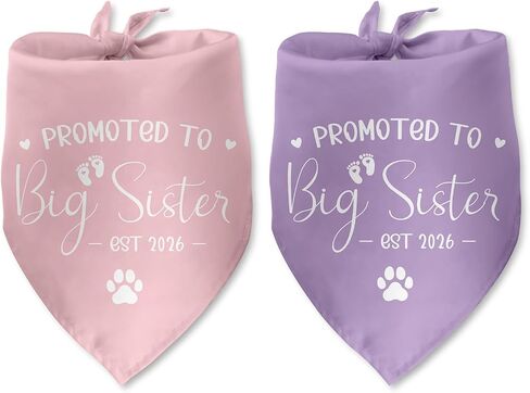2 حزمة تمت ترقيتها إلى Big Sister Dog Bandana 2026 إعلان الحمل بين الجنسين تكشف عن ملابس الكلاب إعلان الطفل Prop Pet Scarf Accessories for Small Medium Large Dog in Kuwait