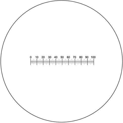 Microscope Eyepiece Micrometer X=10 Scale Ruler 100 Graticule Calibration Ocular DIV 0.1 Mm Microscope in Saudi Arabia