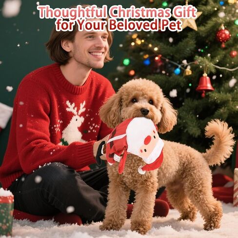 ألعاب بينجبيت للكلاب - عبوتان بدون حشوة لعبة الهالوين للكلاب، لعبة تفاعلية مع كرة تصدر صوتًا وورق مجعد، متعة فائقة تجعل الحيوانات الأليفة مشغولة طوال الوقت، للكلاب الصغيرة والمتوسطة والكبيرة in Kuwait