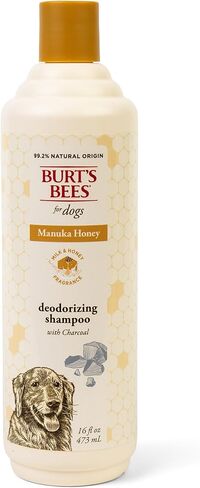 Burt’s Bees for Pet Pets Romodorizing Shampoo مع عسل Manuka والفحم للكلاب - المكونات المشتقة بشكل طبيعي ، 16 أوقية in Kuwait
