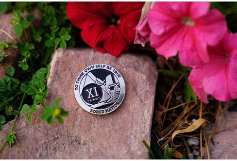 MyRecoverystore Silver and Black Pirate Ecluetic Aa Chip W/Coin Capsule AA Medallion 1-50 Years in Kuwait