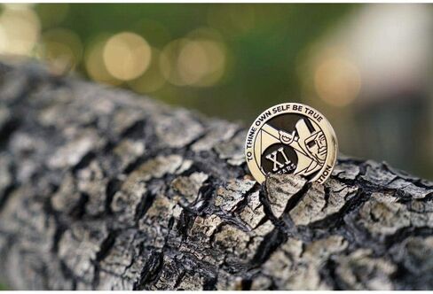 MyRecoverystore Silver and Black Pirate Ecluetic Aa Chip W/Coin Capsule AA Medallion 1-50 Years in Kuwait