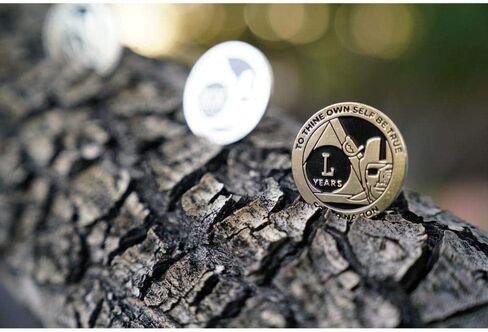 MyRecoverystore Silver and Black Pirate Ecluetic Aa Chip W/Coin Capsule AA Medallion 1-50 Years in Kuwait