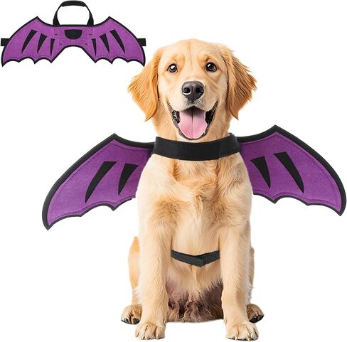 Dog Dragon Wings Halloween Costume Pet Cosplay Wings Accessory for Small Medium Earge Dogs Cat Cat Cat Halloween Photo Photo Photo Props Props in Kuwait