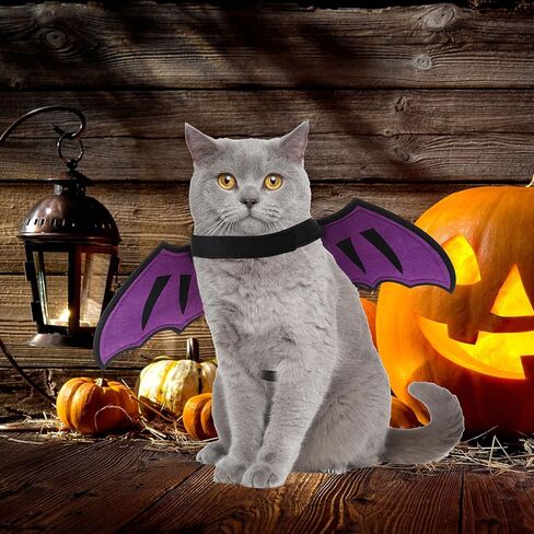 Dog Dragon Wings Halloween Costume Pet Cosplay Wings Accessory for Small Medium Earge Dogs Cat Cat Cat Halloween Photo Photo Photo Props Props in Kuwait