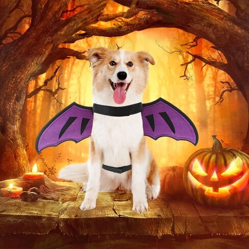 Dog Dragon Wings Halloween Costume Pet Cosplay Wings Accessory for Small Medium Earge Dogs Cat Cat Cat Halloween Photo Photo Photo Props Props in Kuwait