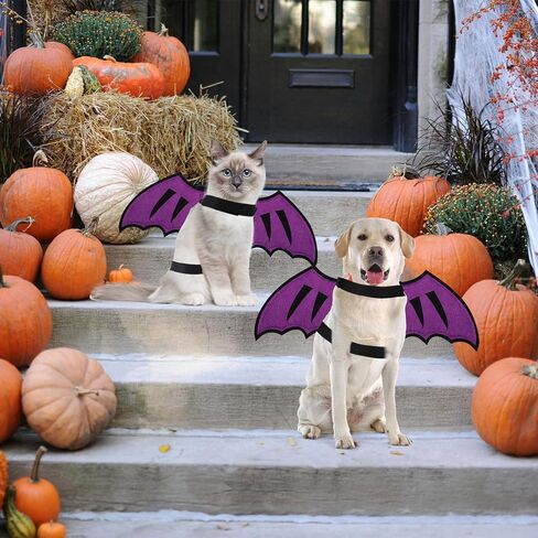 Dog Dragon Wings Halloween Costume Pet Cosplay Wings Accessory for Small Medium Earge Dogs Cat Cat Cat Halloween Photo Photo Photo Props Props in Kuwait