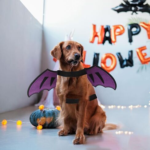 Dog Dragon Wings Halloween Costume Pet Cosplay Wings Accessory for Small Medium Earge Dogs Cat Cat Cat Halloween Photo Photo Photo Props Props in Kuwait