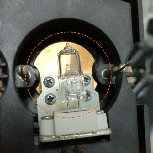 Microscope 2PCS Microscope Lamp Lighting 6V 5W 10W 15W 20W 25W 30W G4 Light Bulbs Halogen Lamps in Saudi Arabia