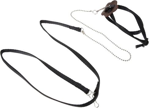Hemoton Turtle Leash Reptile Leash لسلحفاة Hamster تدريب الحيوانات الأليفة للكلاب الصغيرة in Kuwait