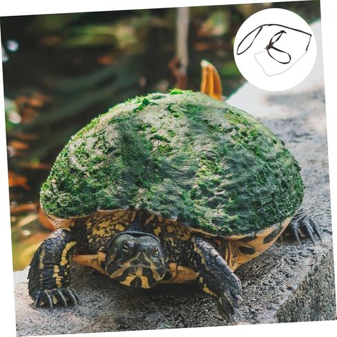 Hemoton Turtle Leash Reptile Leash لسلحفاة Hamster تدريب الحيوانات الأليفة للكلاب الصغيرة in Kuwait