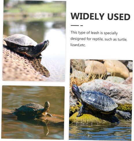 Hemoton Turtle Leash Reptile Leash لسلحفاة Hamster تدريب الحيوانات الأليفة للكلاب الصغيرة in Kuwait