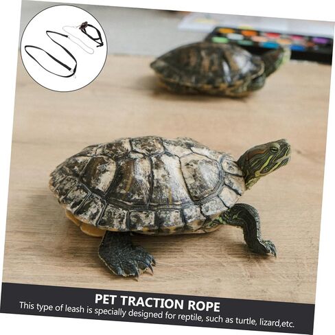 Hemoton Turtle Leash Reptile Leash لسلحفاة Hamster تدريب الحيوانات الأليفة للكلاب الصغيرة in Kuwait