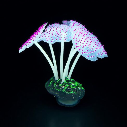 4 عبوات من نباتات الحوض والديكور السيليكون الفلوريسينت - قناديل البحر الواقعية ، فطر لجميع خزانات الأسماك ، الزخارف الأساسية in Kuwait