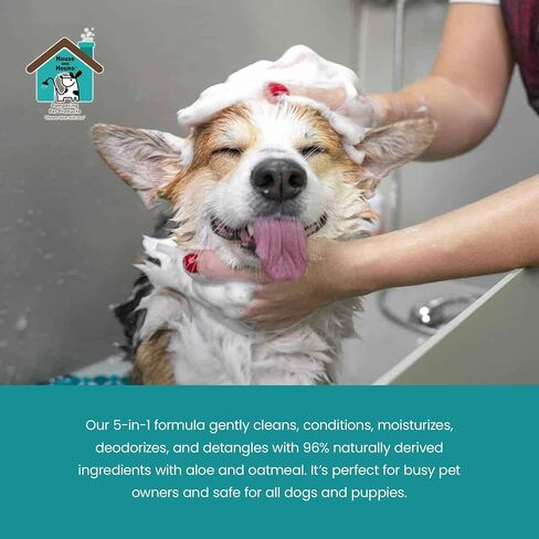 House and Hound All-in-One Pet Wash | Moisturizes, Deodorizes, Detangles – Dog Shampoo and Conditioner for Sensitive Skin – Gentle for All Breeds, Natural Ingredients – 16 oz in Saudi Arabia