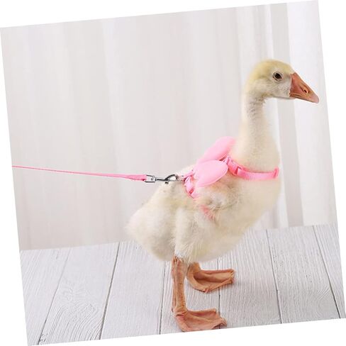 1Pc Pink Goose Leash Durable Pet Walking Harness for Chickens Ducks for Outdoor Activities Encourages Healthy Exercise Adorable Design for Everyday Use in Saudi Arabia