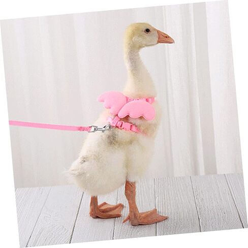 1Pc Pink Goose Leash Durable Pet Walking Harness for Chickens Ducks for Outdoor Activities Encourages Healthy Exercise Adorable Design for Everyday Use in Saudi Arabia