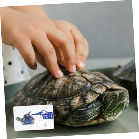 Bestonzon Tortoise Harness Leash سلحفاة قابلة للتعديل المشي مقود الحيوانات الأليفة مقاومة للماء حبل لاستخدام في الهواء الطلق للسلحفاة والسلاحف المشي عشوائيا اللون in Kuwait