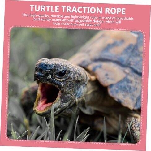 Upkoch Tortoise Pet Harness Vest Leash Turtle Turtle Walking Leash للاستخدام في الهواء الطلق مستلزمات الحيوانات الأليفة القوية للسلحفاة الصغيرة والزواحف العشوائية in Kuwait