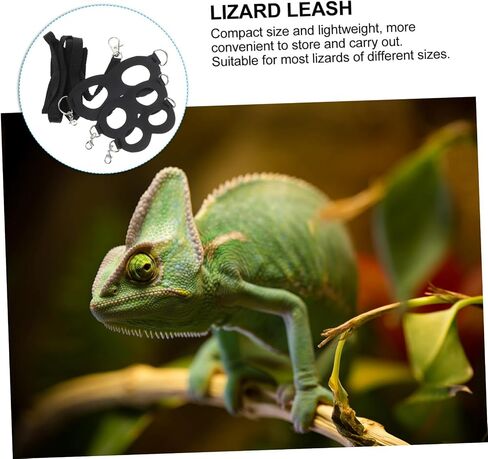 قابلة للتعديل تسخير Dragon Dragon Leash تسخير صغير مقاوم للملابس للزواحف المناسبة للسحالي ومقود Geckos المحمول لسهولة المشي in Kuwait