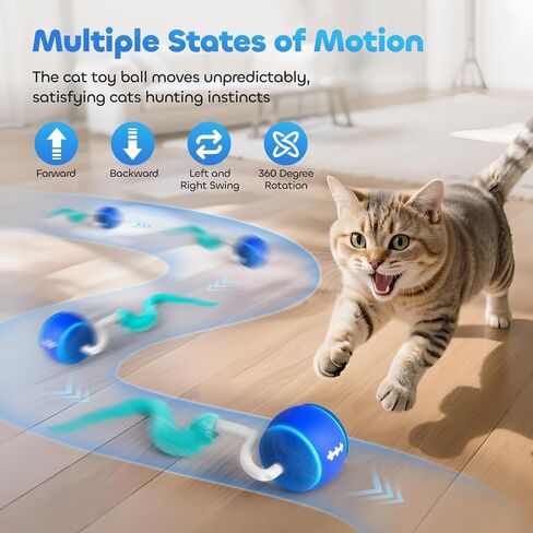 كرة لعبة Cat Interactive ، ألعاب القطط التلقائية للقطط الداخلية ، ألعاب هريرة نشطة الحركة مع ذيول بديلة ، 3 أوضاع ، ألعاب القطط القابلة لإعادة شحن USB ، متحركة لممارسة التخصيب (الأزرق) in Saudi Arabia