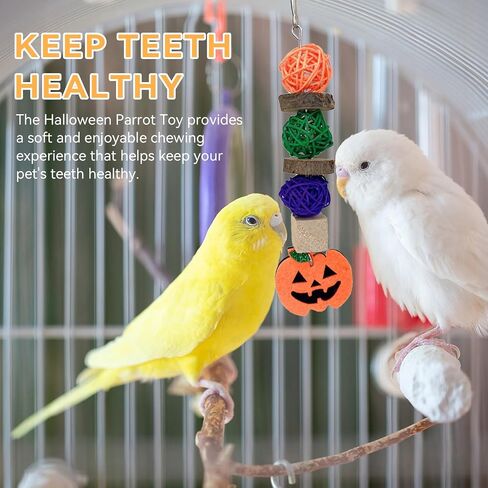ديكور Plplaaoo Halloween Pumpkin للببغاء ، الببغاء ، الهامستر والحيوانات الأليفة الصغيرة مضغ - الخشب ، الروطان ، Love - Leaf Pumpkin Lolor in Kuwait