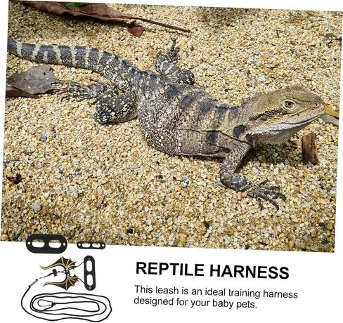 Sosoport 1SET Leopard Gecko Harnesses Lizard Leash Traction Rope Pet reptiles tharness in Kuwait