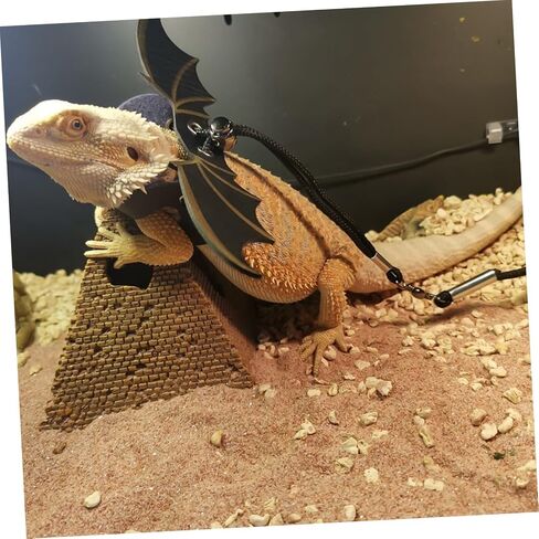 Sosoport 1SET Leopard Gecko Harnesses Lizard Leash Traction Rope Pet reptiles tharness in Kuwait
