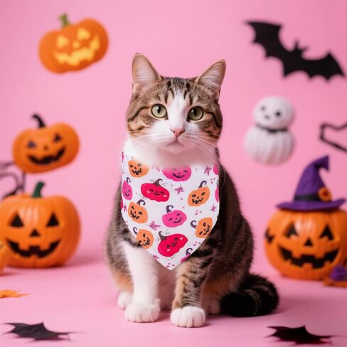 عيد الهالوين الكلب Bandanas Girl 2pcs ، وشاح الكلب بالشبح in Saudi Arabia
