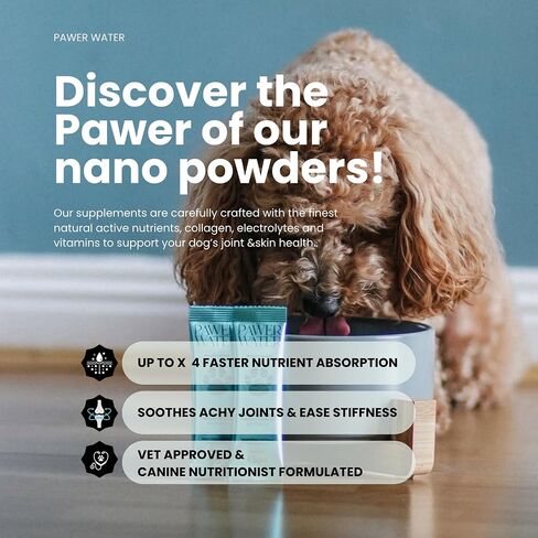 Advanced Joint & Hydration Supplement for Dogs – Vet-Approved - Soluble Powder with Collagen, Electrolytes, 7 Active Nutrients & Vitamins – Chicken Broth Flavor (Up to 4 Weeks Supply) in Saudi Arabia