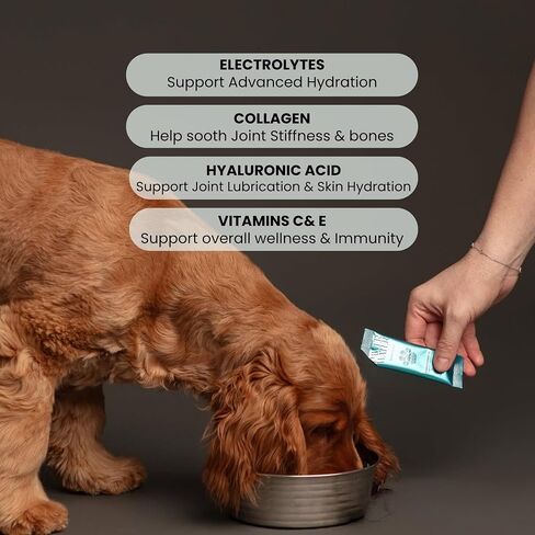 Advanced Joint & Hydration Supplement for Dogs – Vet-Approved - Soluble Powder with Collagen, Electrolytes, 7 Active Nutrients & Vitamins – Chicken Broth Flavor (Up to 4 Weeks Supply) in Saudi Arabia