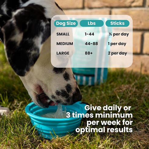 Advanced Joint & Hydration Supplement for Dogs – Vet-Approved - Soluble Powder with Collagen, Electrolytes, 7 Active Nutrients & Vitamins – Chicken Broth Flavor (Up to 4 Weeks Supply) in Saudi Arabia