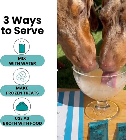 Advanced Joint & Hydration Supplement for Dogs – Vet-Approved - Soluble Powder with Collagen, Electrolytes, 7 Active Nutrients & Vitamins – Chicken Broth Flavor (Up to 4 Weeks Supply) in Saudi Arabia