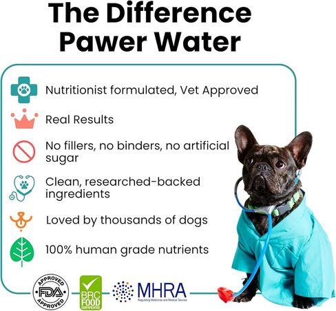 Advanced Joint & Hydration Supplement for Dogs – Vet-Approved - Soluble Powder with Collagen, Electrolytes, 7 Active Nutrients & Vitamins – Chicken Broth Flavor (Up to 4 Weeks Supply) in Saudi Arabia