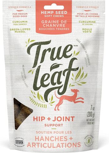 Hemp Hip + Coint Coint 200 G - دعم التنقل مع المكونات الطبيعية - مسحوق بذور القنب ، بلح البحر الخضراء ، مستخلص الكركم in Saudi Arabia