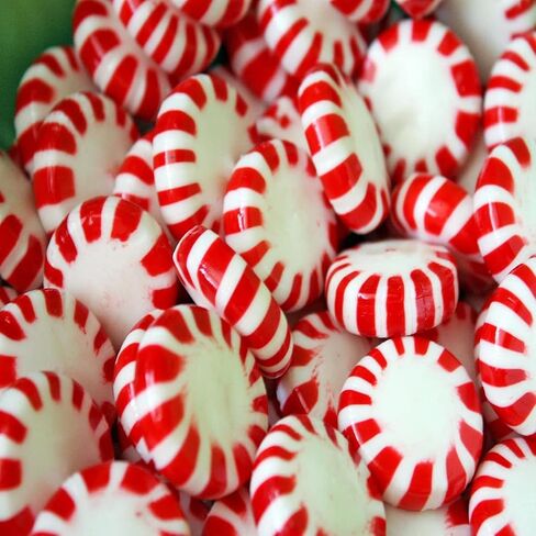 Peppermint Twist Type Fragrance Oil (Our Version of The Brand Name) (16 oz Bottle) for Candle Making, Soap Making, Tart Making, Room Sprays, Lotions, Car Fresheners, Slime, Bath Bombs, Warmers… in Saudi Arabia