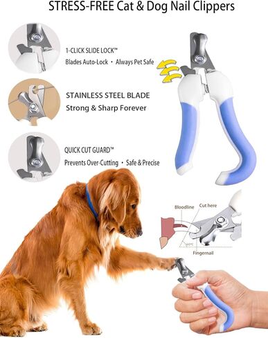6PS Dog Cat Brush Kitf ، فرش قطة الكلاب ، فرشاة الحمام ، أشعل النار في المشط ، مقص الأظافر ، ملف الأظافر ، مشط البراغيث (6 مجموعات) in Saudi Arabia