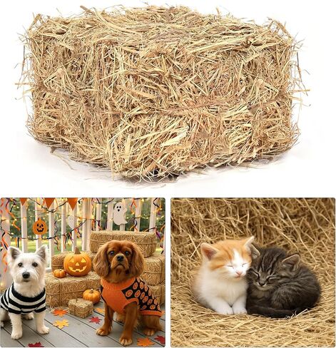 Natural Wheat Straw Bale – 5LB Clean & Soft Dry Straw, Warm Bedding for Winter Cat Shelters, Stray Dogs & Outdoor Pet Warmth, Decorative Hay Bale for Thanksgiving, Halloween and Western Cowboy Party in Kuwait