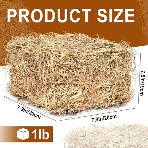 Natural Wheat Straw Bale – 5LB Clean & Soft Dry Straw, Warm Bedding for Winter Cat Shelters, Stray Dogs & Outdoor Pet Warmth, Decorative Hay Bale for Thanksgiving, Halloween and Western Cowboy Party in Kuwait