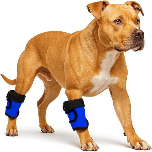 LovinPet Dog Leg Braces, 2 Pack Adjustable Ankle/Hock Wraps for Front & Back Legs, Back Leg Support Brace, Recovery & Mobility Aid, Joint Stability Support, Fits Medium & Large Dogs, Black in Saudi Arabia