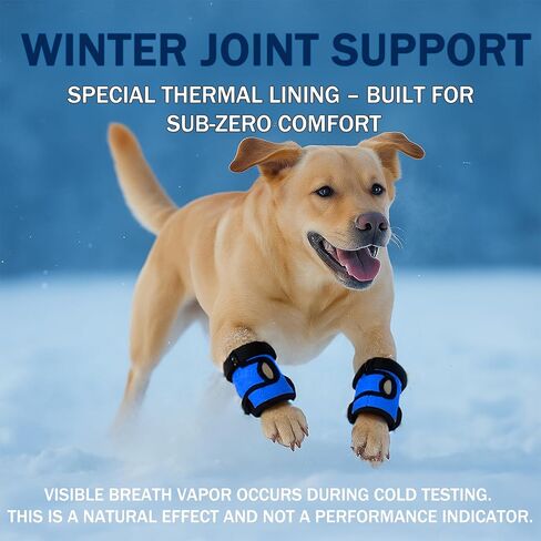 LovinPet Dog Leg Braces, 2 Pack Adjustable Ankle/Hock Wraps for Front & Back Legs, Back Leg Support Brace, Recovery & Mobility Aid, Joint Stability Support, Fits Medium & Large Dogs, Black in Saudi Arabia