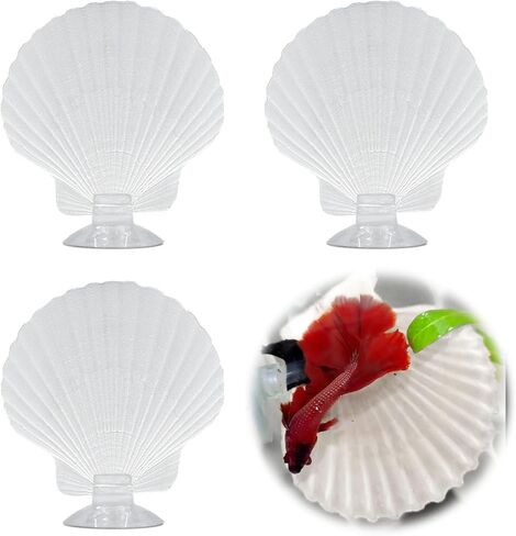 3pcs قذائف Betta أرجوحة ، زخارف خزان السمك الصغيرة الطبيعية ، إكسسوارات Betta Fish Cann in Kuwait