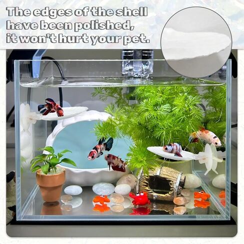 3pcs قذائف Betta أرجوحة ، زخارف خزان السمك الصغيرة الطبيعية ، إكسسوارات Betta Fish Cann in Kuwait
