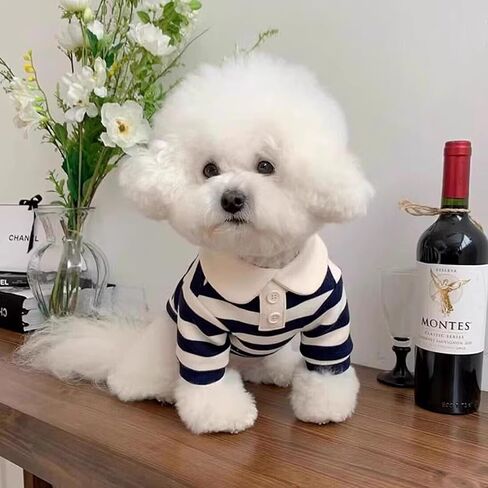 Qiansail Dog Clothes, Cute Polo Shirt, Striped Collar T-Shirt for Small Medium Dogs Soft Summer Outfits for Puppy Kitten (M) in Kuwait