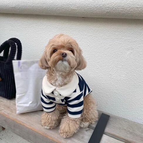 Qiansail Dog Clothes, Cute Polo Shirt, Striped Collar T-Shirt for Small Medium Dogs Soft Summer Outfits for Puppy Kitten (M) in Kuwait