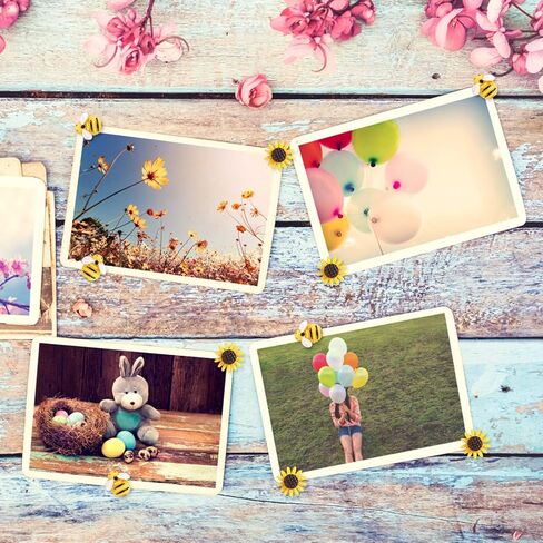 30 Pcs Sunflower Bee Push Pins Bee Shaped Craft Embellishment Decorative Resin Decorative Flower Cork Board Tacks Thumb Tack for Cork Board Office Home Decoration Feature Wall Photo Wall Bulletin Boar in Saudi Arabia